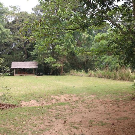 Wildescape, Yala Blocks 3 & 5 Villa Buttala Kültér fotó
