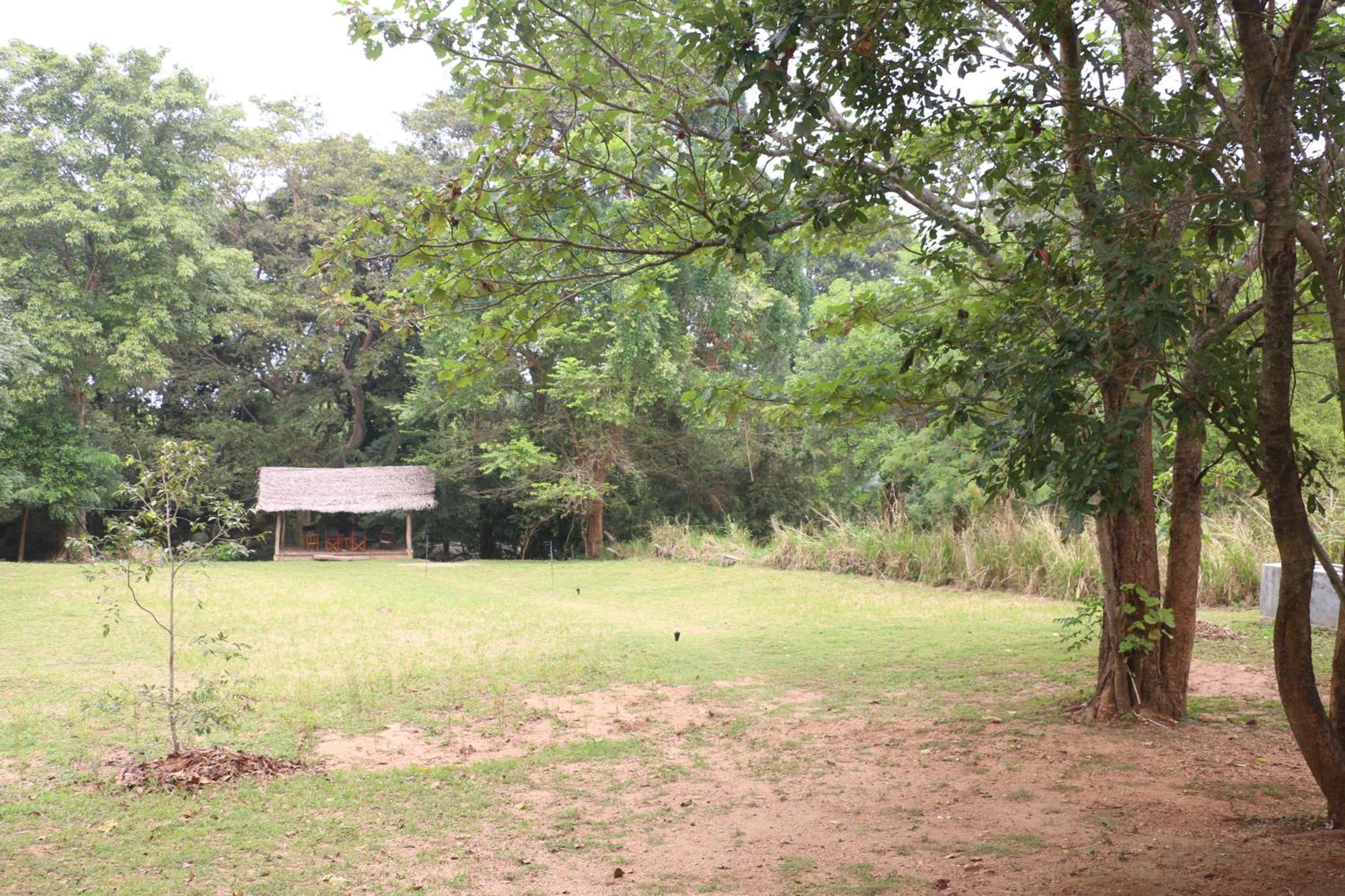 Wildescape, Yala Blocks 3 & 5 Villa Buttala Kültér fotó