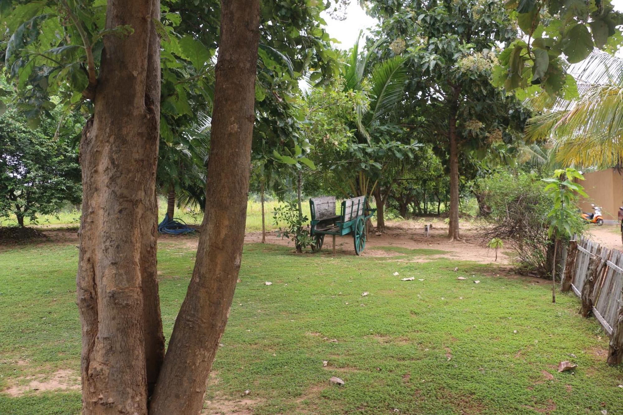 Wildescape, Yala Blocks 3 & 5 Villa Buttala Kültér fotó