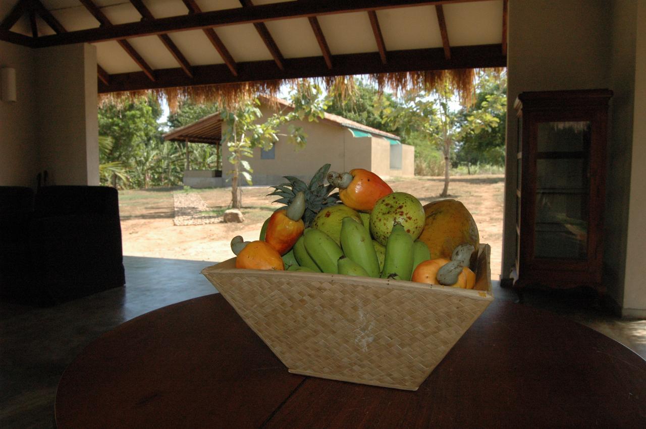 Wildescape, Yala Blocks 3 & 5 Villa Buttala Kültér fotó