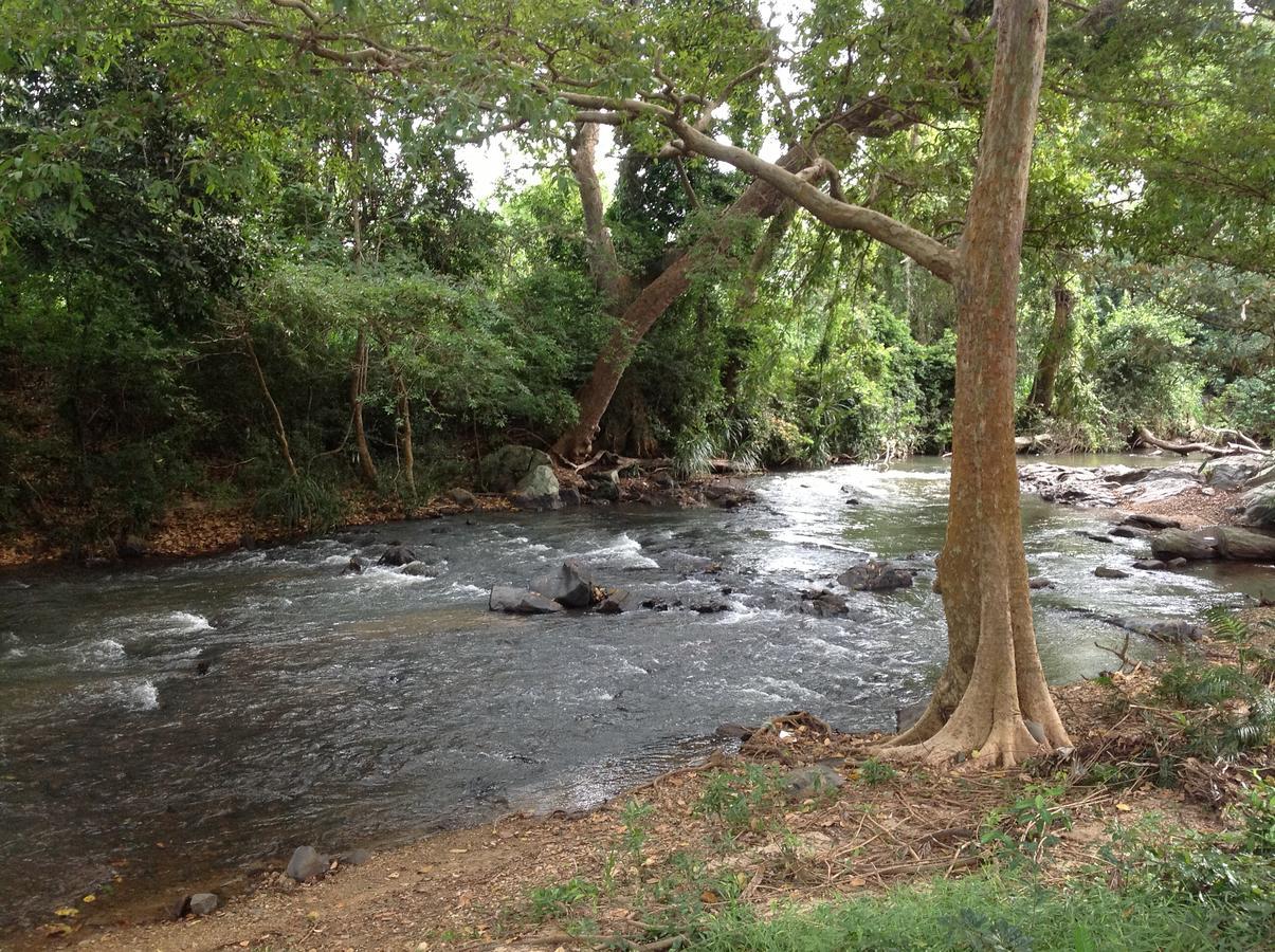 Wildescape, Yala Blocks 3 & 5 Villa Buttala Kültér fotó