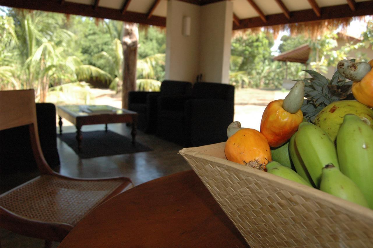 Wildescape, Yala Blocks 3 & 5 Villa Buttala Kültér fotó